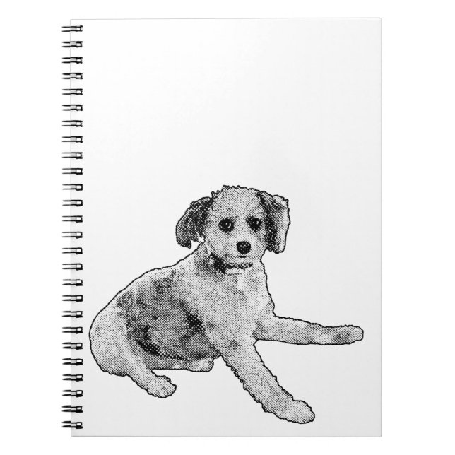 Cuaderno Forma útil, historia suave (Frente)