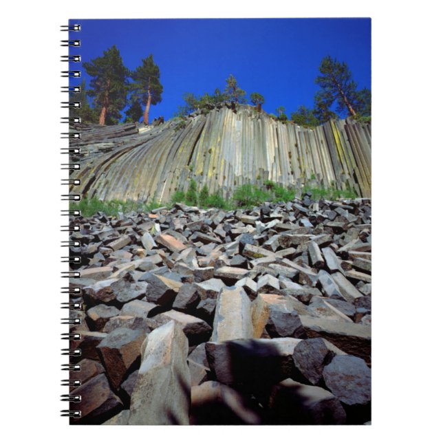 Cuaderno Formaciones de basalto de Devils Postpile (Frente)