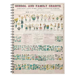 Cuaderno Formas de hojas, tallos, raíces y flores; botánica