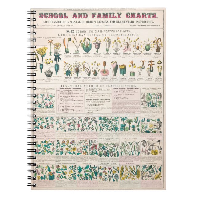 Cuaderno Formas de hojas, tallos, raíces y flores; botánica (Frente)