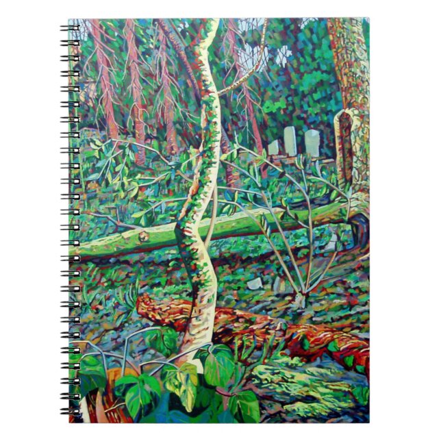 Cuaderno Foso 2 del arco (Frente)