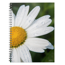 cuaderno fota margarita