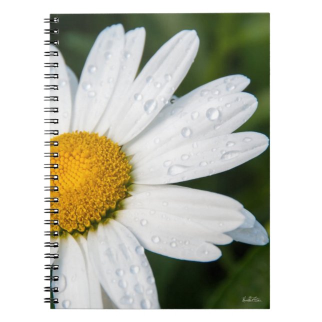 cuaderno fota margarita (Frente)