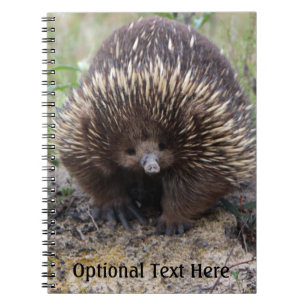 Cuaderno Foto animal australiana de Echidna Cute