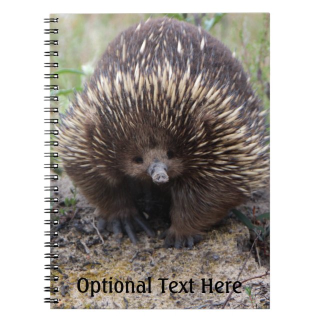 Cuaderno Foto animal australiana de Echidna Cute (Frente)