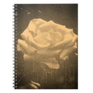 Cuaderno Foto antigua, hermosa rosa rosada de cerca