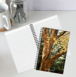 Cuaderno Foto botánica del árbol de Stewartia japonés