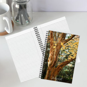 Cuaderno Foto botánica del árbol de Stewartia japonés