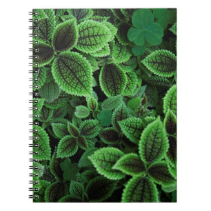CUADERNO FOTO CERRADA DE LA PLANTA VERDE PROHIBIDA