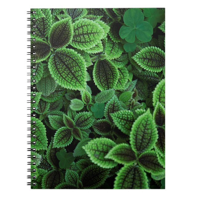 CUADERNO FOTO CERRADA DE LA PLANTA VERDE PROHIBIDA (Frente)