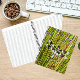 Cuaderno Foto común del Skimmer Dragonfly