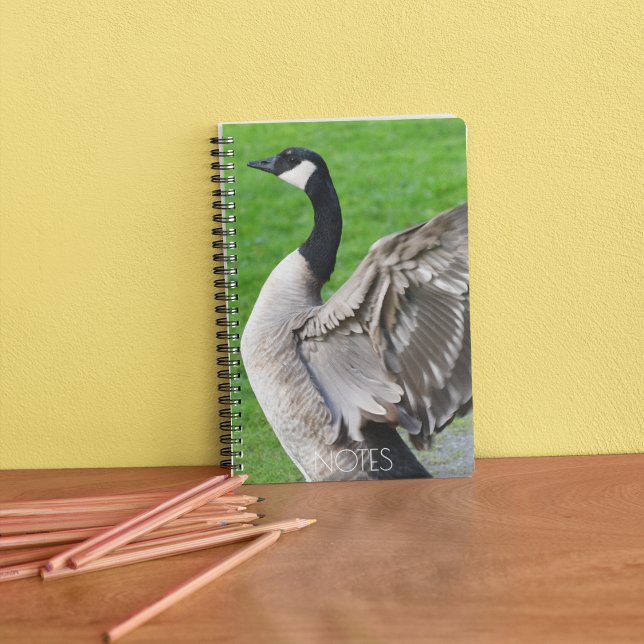 Cuaderno Foto de Alas de Flapping de ganso de Canadá (In Situ)