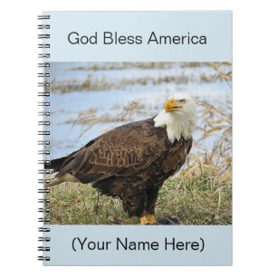Cuaderno Foto de American Bald Eagle en un diario 8x10