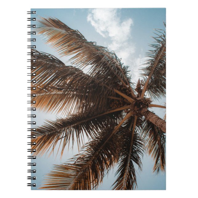 Cuaderno Foto de ángulo bajo del árbol de coco (Frente)