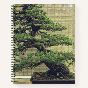 Cuaderno Foto de árbol Bonsai de pino blanco japonés