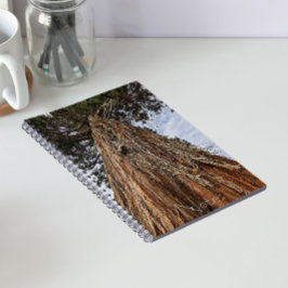 Cuaderno Foto de árbol de secuoya gigante