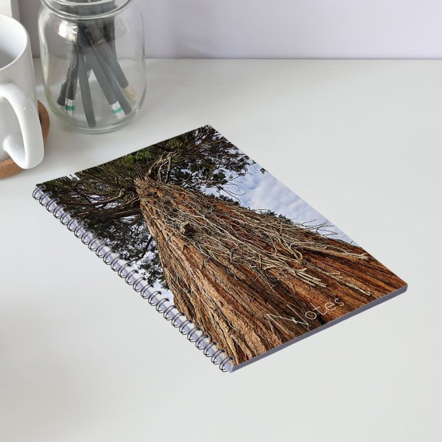 Cuaderno Foto de árbol de secuoya gigante (In Situ)