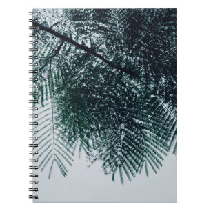 Cuaderno Foto de árbol verde en ángulo bajo