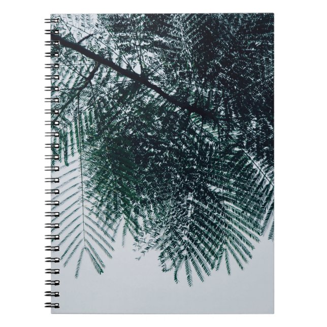 Cuaderno Foto de árbol verde en ángulo bajo (Frente)