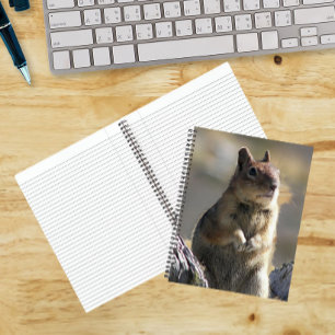 Cuaderno Foto de ardilla suplicante en la naturaleza