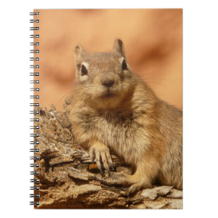 Cuaderno Foto de ardilla terrestre