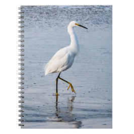 Cuaderno Foto de arte fino de garceta