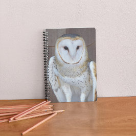 Cuaderno Foto de Barn Owl Raptor