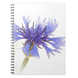 Cuaderno Foto de Blue Cornflower -