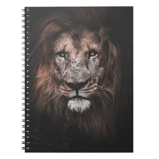 CUADERNO FOTO DE BROWN LION (Frente)
