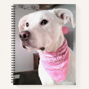 Cuaderno Foto de cachorro blanco lindo con bufanda rosa