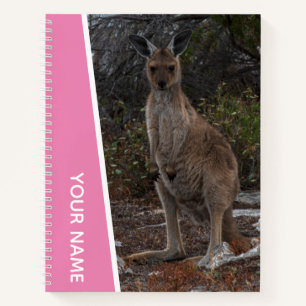 Cuaderno Foto de canguro adorable bebé joey, Australia, ros