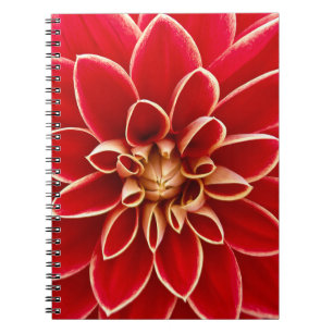 Cuaderno Foto de cerca de flor de dalia roja brillante