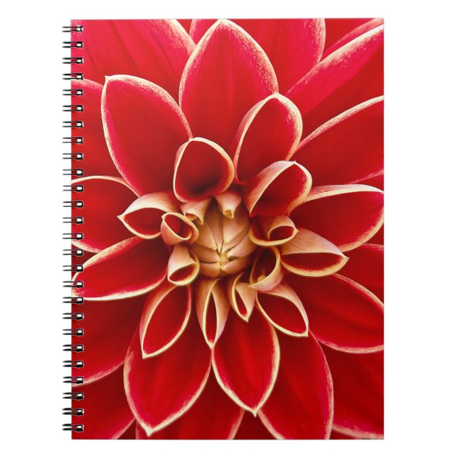 Cuaderno Foto de cerca de flor de dalia roja brillante (Frente)
