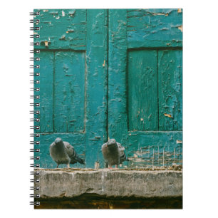 CUADERNO FOTO DE CERRADO DE DOS PIGEONS GRÁFICOS EN CONCRET