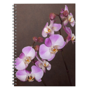 Cuaderno Foto de cierre blanco violeta de flor de orquídea 
