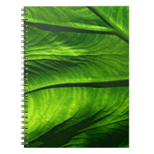 Cuaderno Foto de cierre de hoja verde