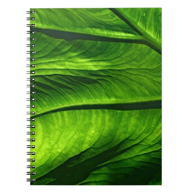 Cuaderno Foto de cierre de hoja verde (Frente)