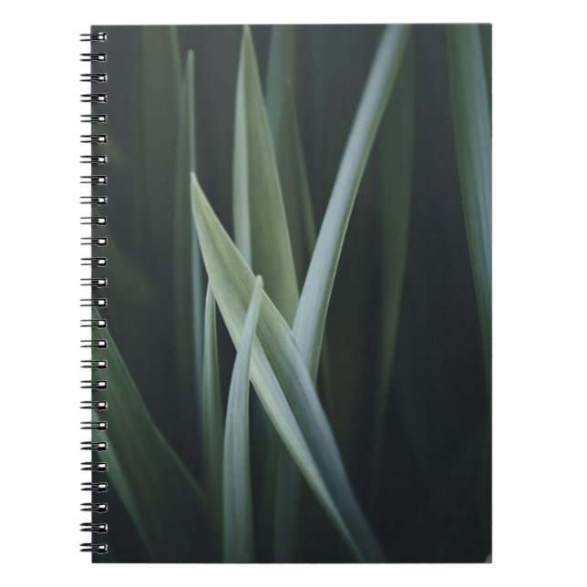 Cuaderno Foto de cierre de hojas lineales verdes (Frente)