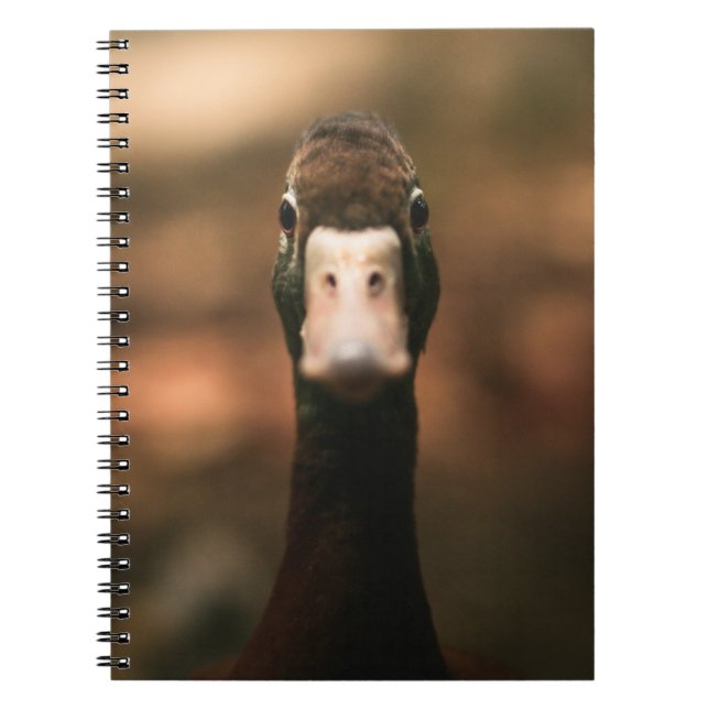 CUADERNO FOTO DE CIERRE DE LA CARA DE PATO (Frente)