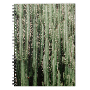 Cuaderno Foto de cierre de la planta de cactus verde