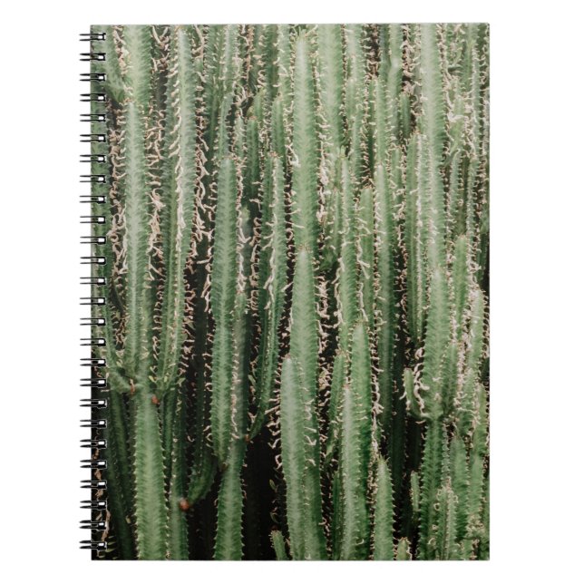 Cuaderno Foto de cierre de la planta de cactus verde (Frente)