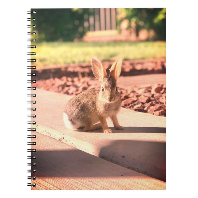 Cuaderno foto de conejo de Pascua de primavera (Frente)
