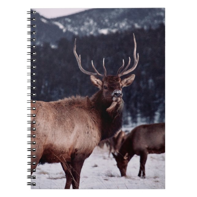 CUADERNO FOTO DE DEFENSA DE BROWN DEER (Frente)
