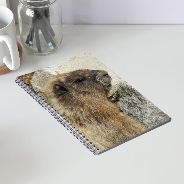 Cuaderno Foto de fauna de Marmota gris (In Situ)
