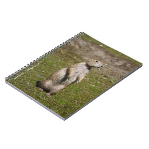 Cuaderno Foto de fauna silvestre de perro de la pradera de