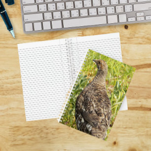 Cuaderno Foto de fauna silvestre de urogallo ahumado