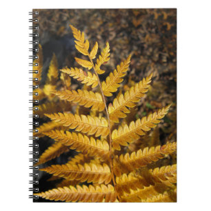 Cuaderno Foto de Ferro Dorado de la hoja de otoño