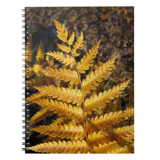 Cuaderno Foto de Ferro Dorado de la hoja de otoño (Frente)