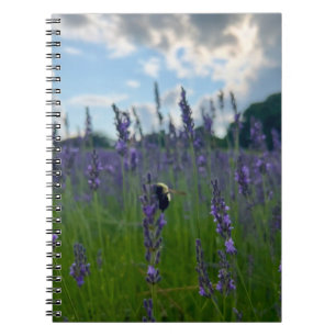 Cuaderno Foto de flor de Nueva Inglaterra