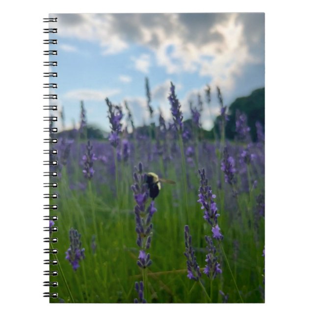 Cuaderno Foto de flor de Nueva Inglaterra (Frente)
